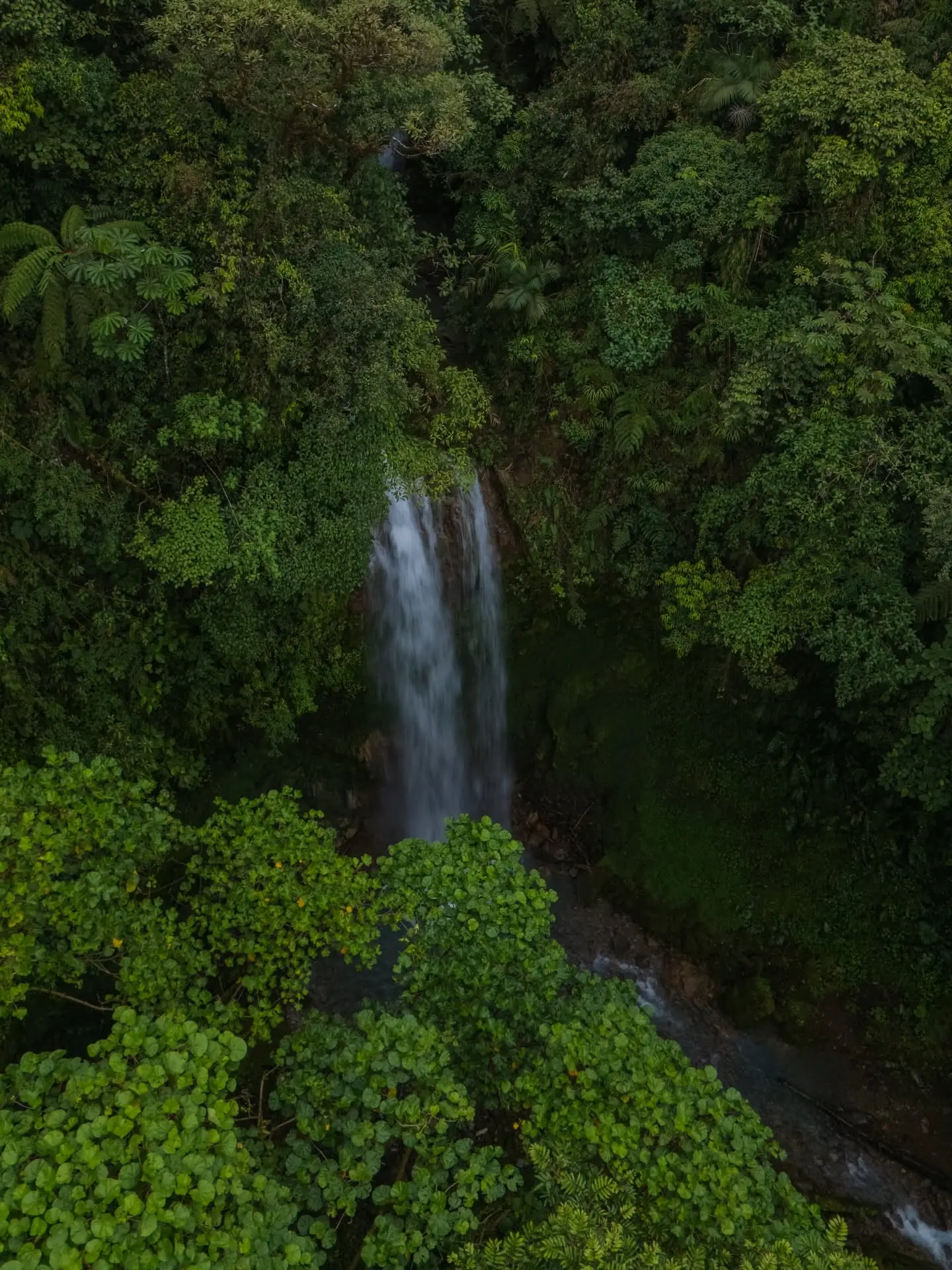 Guided waterfall tours in Bajos del Toro, Costa Rica