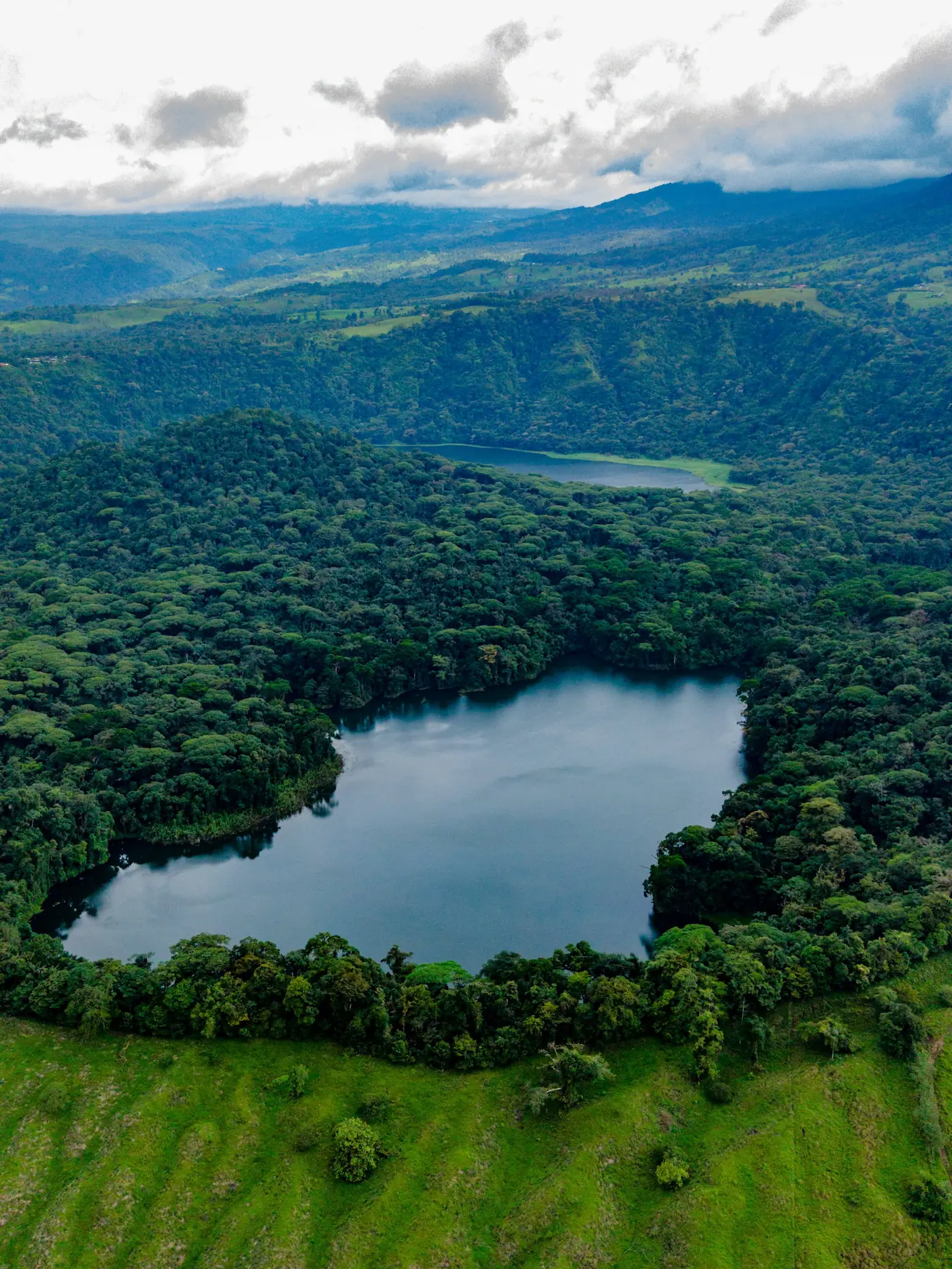 Bosque Alegre wildlife refuge, near Bajos del Toro, Costa Rica