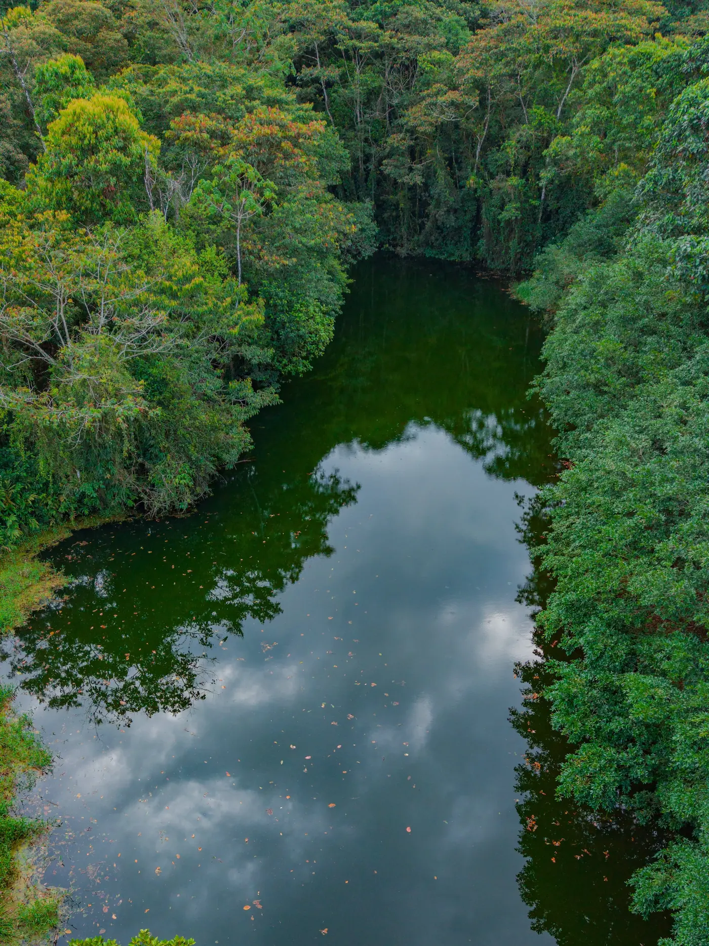 Río Cuarto lake near Bajos del Toro, Alajuela, Costa Rica
